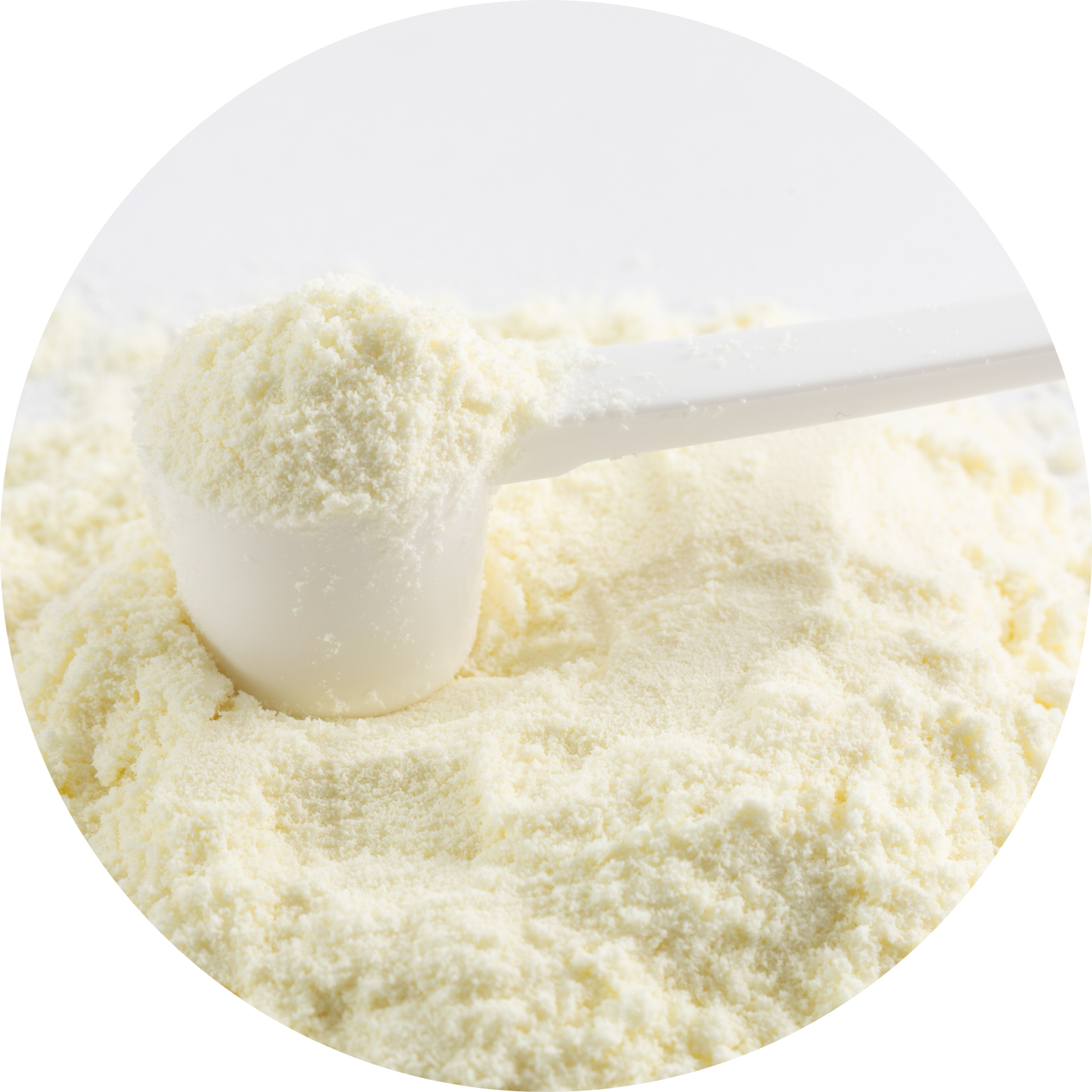 Milk powder