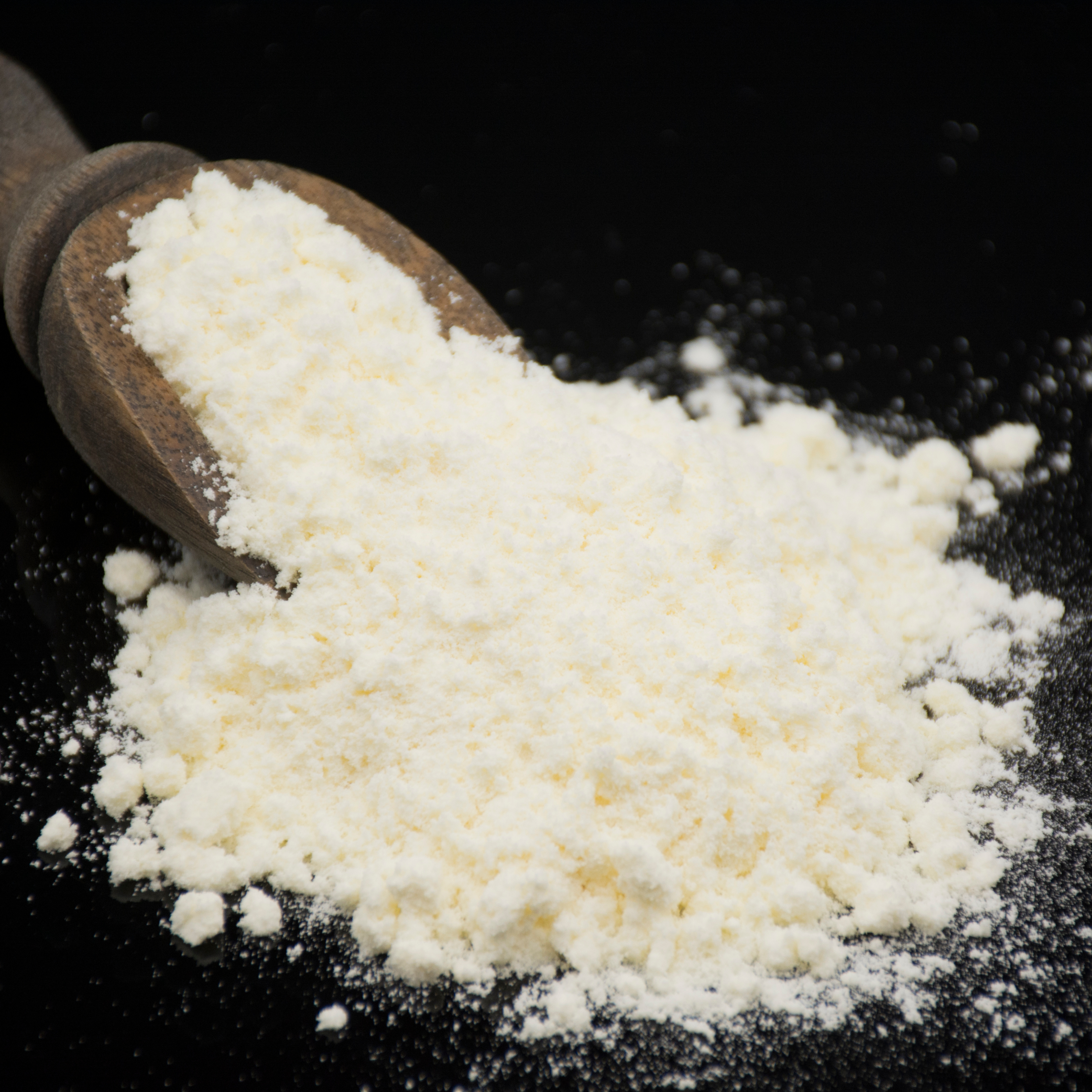 Premium Donkey Milk Powder